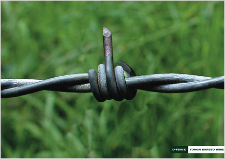 barbed wire advert Chip Shop Awards
