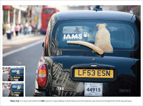IAMS ad