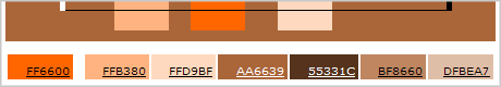 color scheme