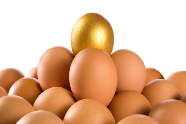 Egg Graphic Design