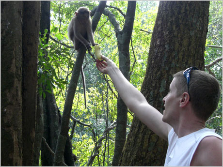 David Airey feeding a monkey