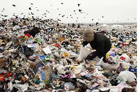 scavenging scavenging