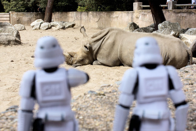 Stormtroopers and rhino
