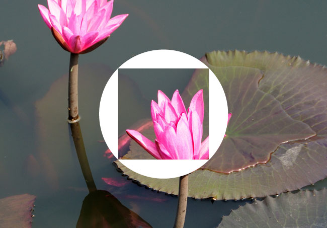 ADB symbol