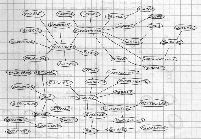 Ecometrica mind-map