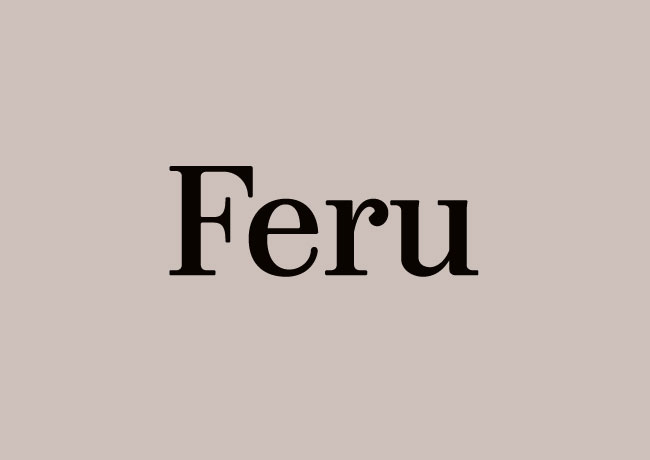 Feru brand identity