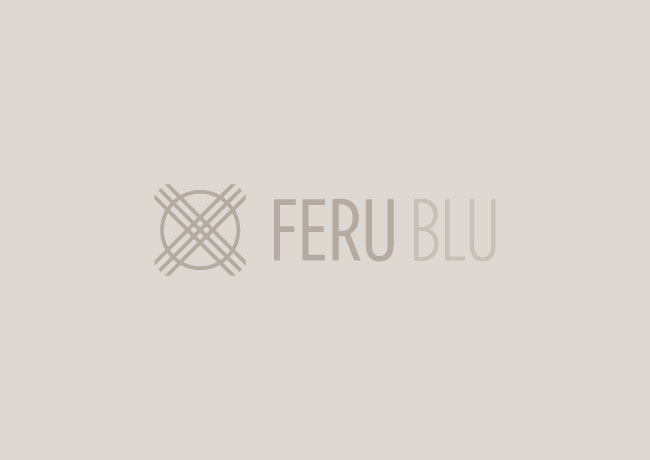 Feru brand identity