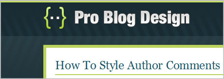 WordPress author comments