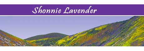 Shonnie Lavender