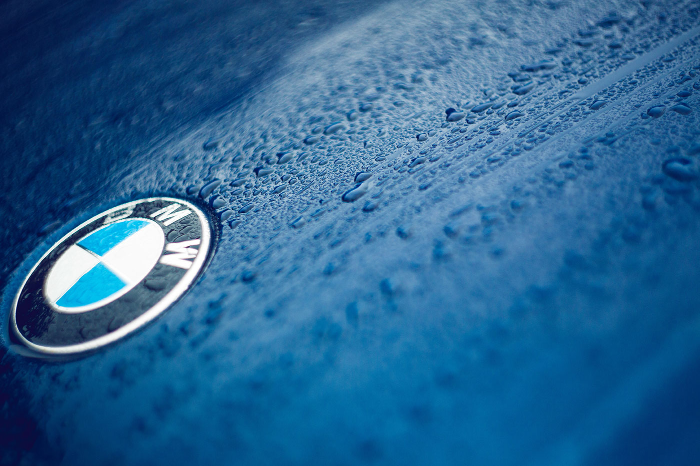 BMW hood logo